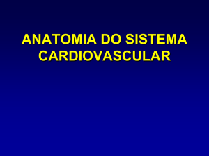 Anatomia cardíaca ARTÉRIAS CORONÁRIAS