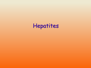 Hepatites