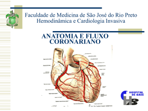 anatomia e fluxo coronariano