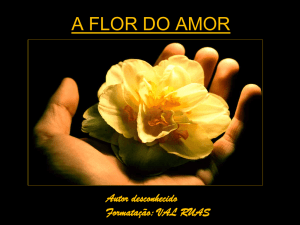 A FLOR DO AMOR - Tetrapharmakon