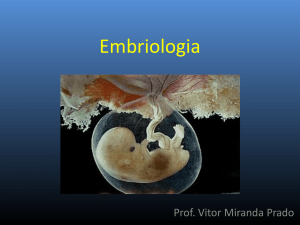 Embriologia - WordPress.com