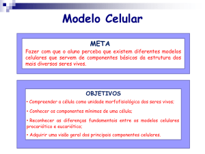 Modelo Celular META