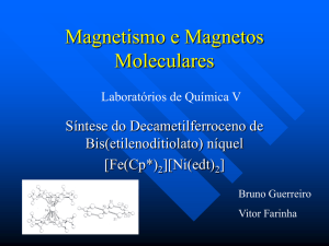 Magnetismo e Magnetos Moleculares