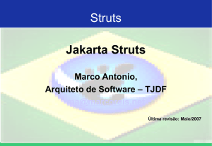 Struts - Marco Reis
