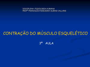 fibra do músculo esquelético