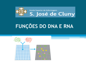 funções do dna e rna replicação