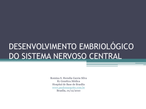 desenvolvimento embriológico do sistema nervoso
