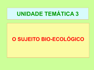 Power point - Área de Integração Ficheiro