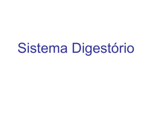 sistema_digestorio_2014 (2505728)