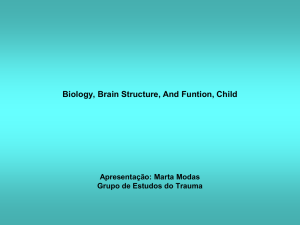 Biologia Estrutura e Função do Cérebro na Criança