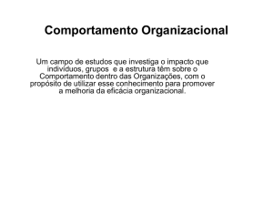 Comportamento Organizacional