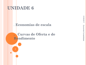 UNIDADE 6 . Economias de escala . Curvas de Oferta e de