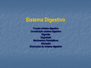 Sistema Digestivo - carlosrobertodasvirgens
