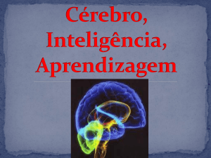 Cérebro, Inteligência, Aprendizagem