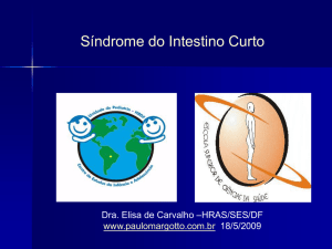 Slide 1 - Paulo Margotto