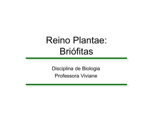 Reino Plantae_Briófitas 02-09