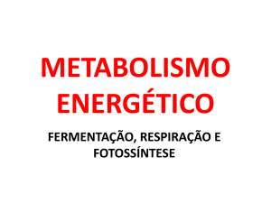 metabolismo energético fermentação, respiração e fotossíntese
