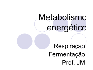 Metabolismo energético II
