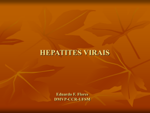 HEPATITES A, B e C - Setor de Virologia UFSM