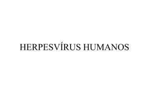 Aula Teórica - Herpesvírus Paulo