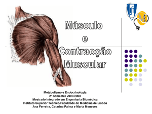 Músculo e contracç  o muscular/Musculo e[1]