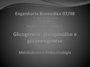 Glicogénese, glicogenólise e gliconeogénese