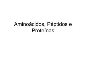 Aminoácidos, Péptidos e Proteínas