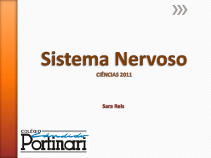 Sistema Nervoso