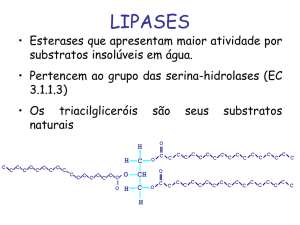 Bioquimica_aplicada_aula_7_lipases