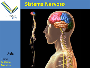 Slide 1 - WebLiessin