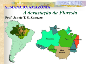 amazonia-Prof Janete