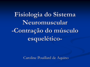 Fisiologia do Sistema Neuromuscular