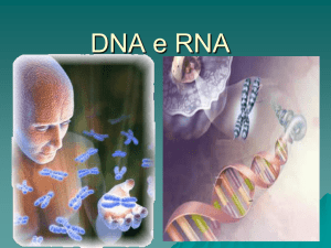 DNA e RNA - EE Profª Joelina de Almeida Xavier