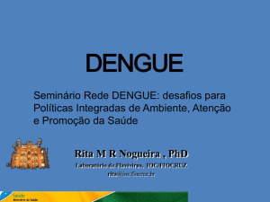 vírus dengue - Rede Dengue