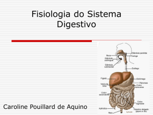 Fisiologia do Sistema Digestivo