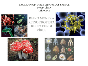 Reinos monera, protista, virus e fungos