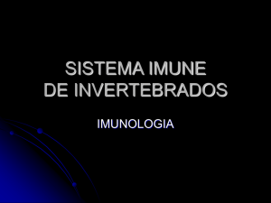 Invertebrados  - ICB-USP