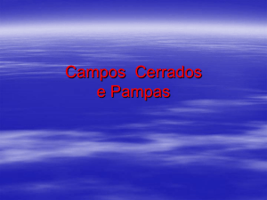 Campos e Cerrados Pampas