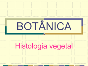 botânica - Ser Digital