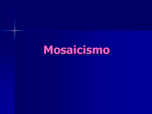 Mosaicismo - luizsoaresandrade