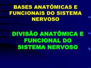 NEUR&Ocirc;NIO