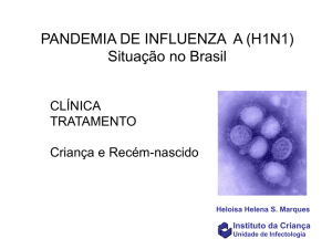 Slide 1 - Waldir Cardoso