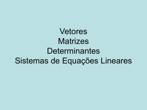 Vetores_Matrizes_Sistemas Lineares_