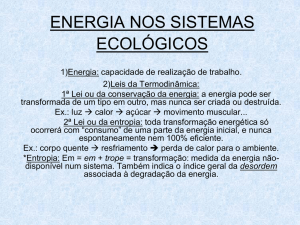 energia nos sistemas ecológicos