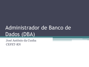 Administrador de Banco de Dados (DBA)