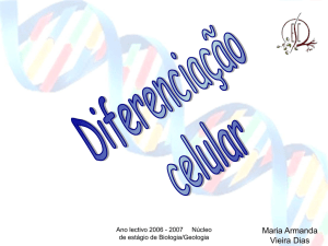 diferenciacao_celular