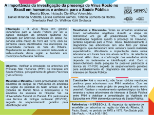 A importância da investigação da presença de Vírus Rocio no Brasil
