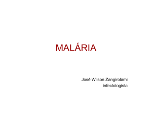 malária - WordPress.com