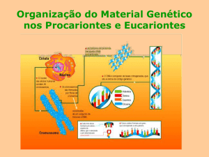 07organização do material genético nos procariontes e eucariontes