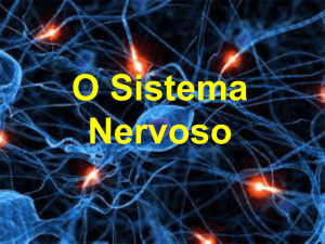 Sistema Nervoso Periférico